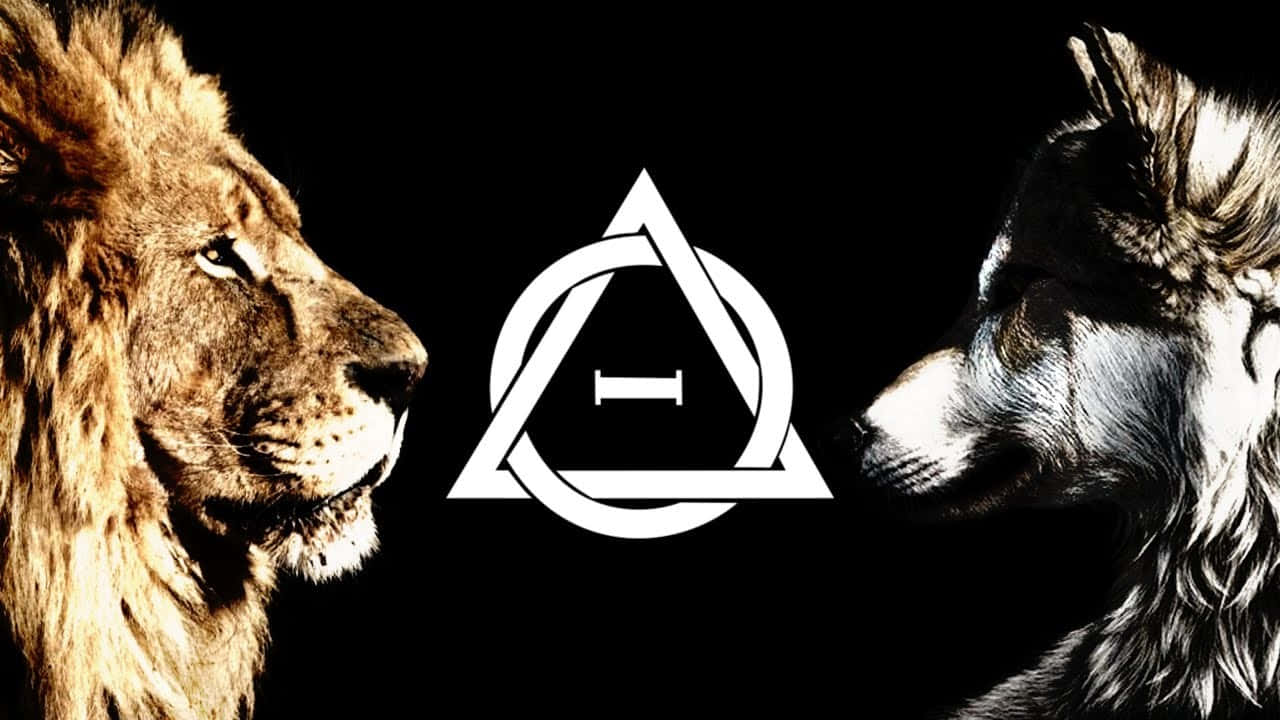 1280x720 Download Lion Wolf Therian Symbol Wallpaper