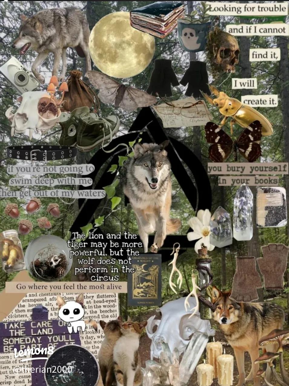 955x1274 Therian Wolf and Fox Wallpaper: Embrace Your Spirit