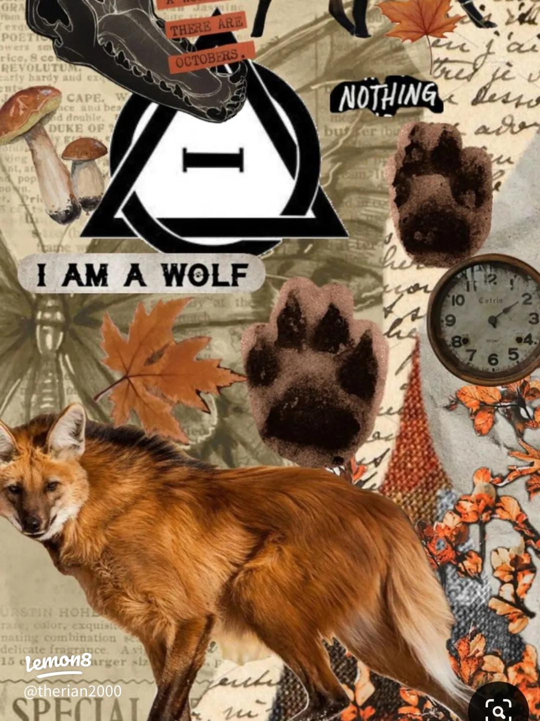 1080x1440 Therian Wolf and Fox Wallpaper: Embrace Your Spirit