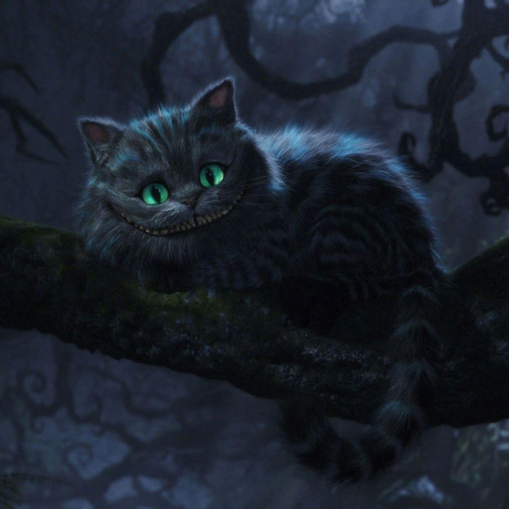 1024x1024 Alice in Wonderland Animals and Background iPad Wallpaper