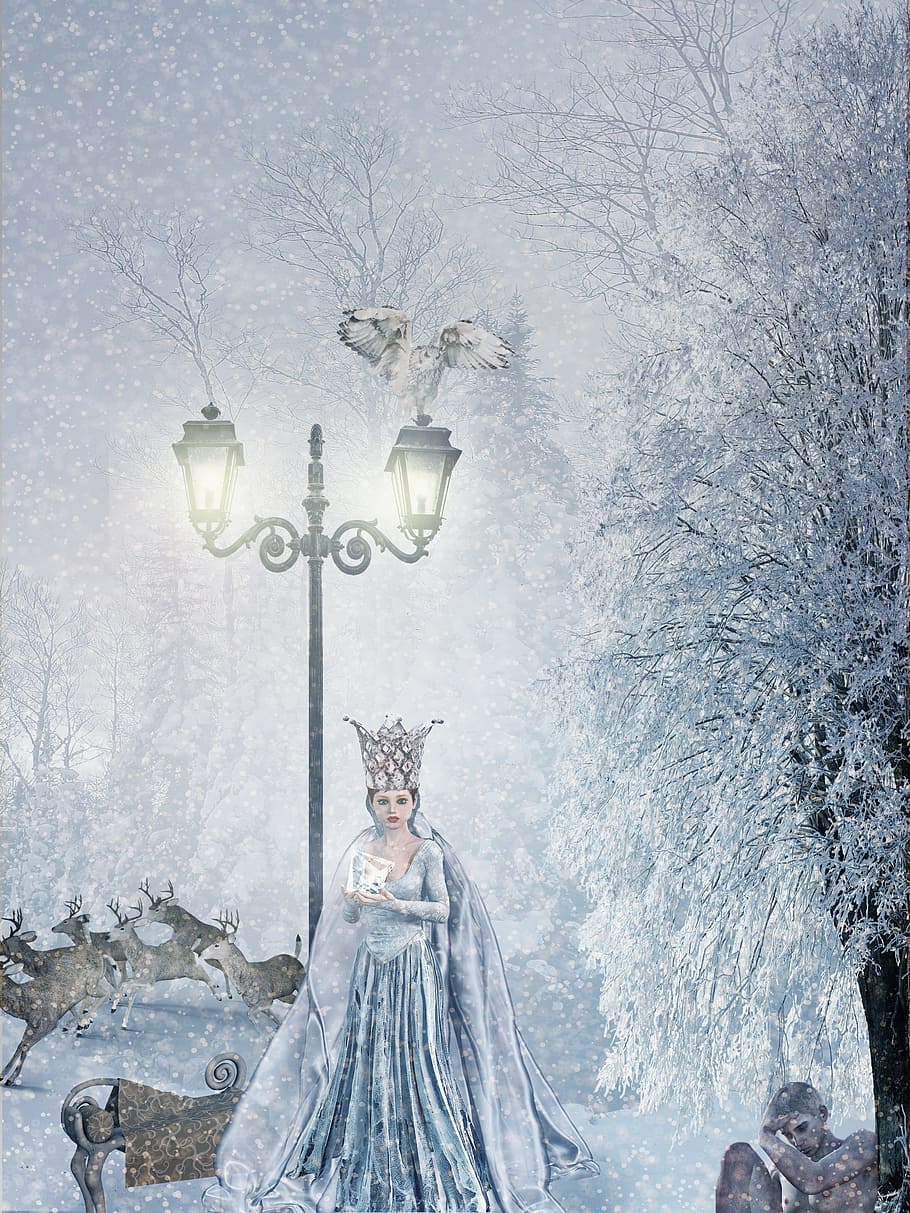 910x1213 HD wallpaper: snow queen, fairy tales, winter, forest, ice crystal, lantern