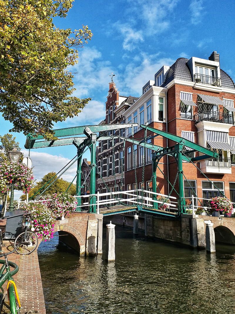 800x1067 HD leiden wallpaper