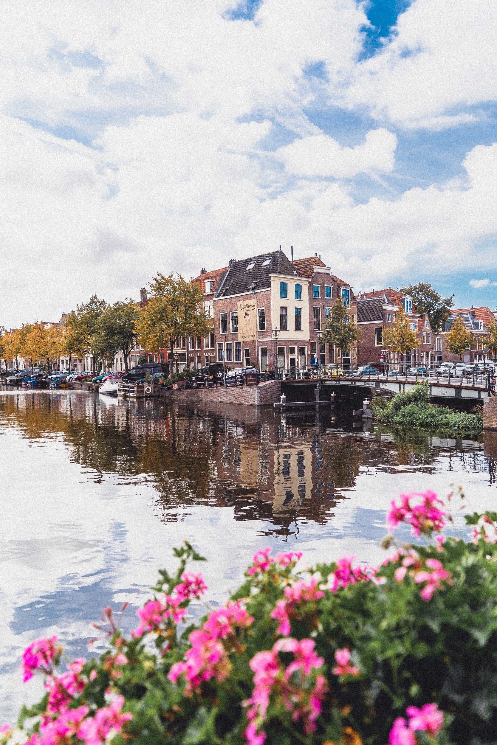 1667x2500 Hidden Gems & Unusual and Secret Spots in Leiden
