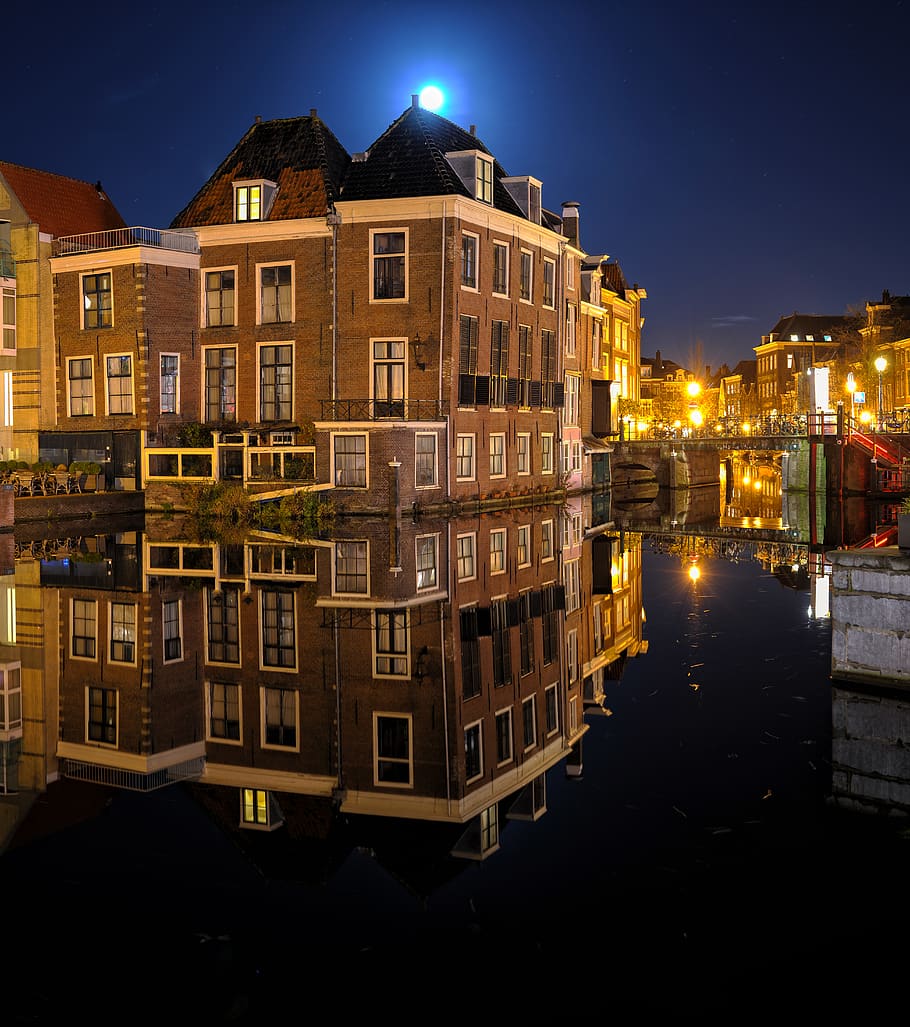 910x1027 Leiden 1080P, 2K, 4K, 5K HD wallpaper free download