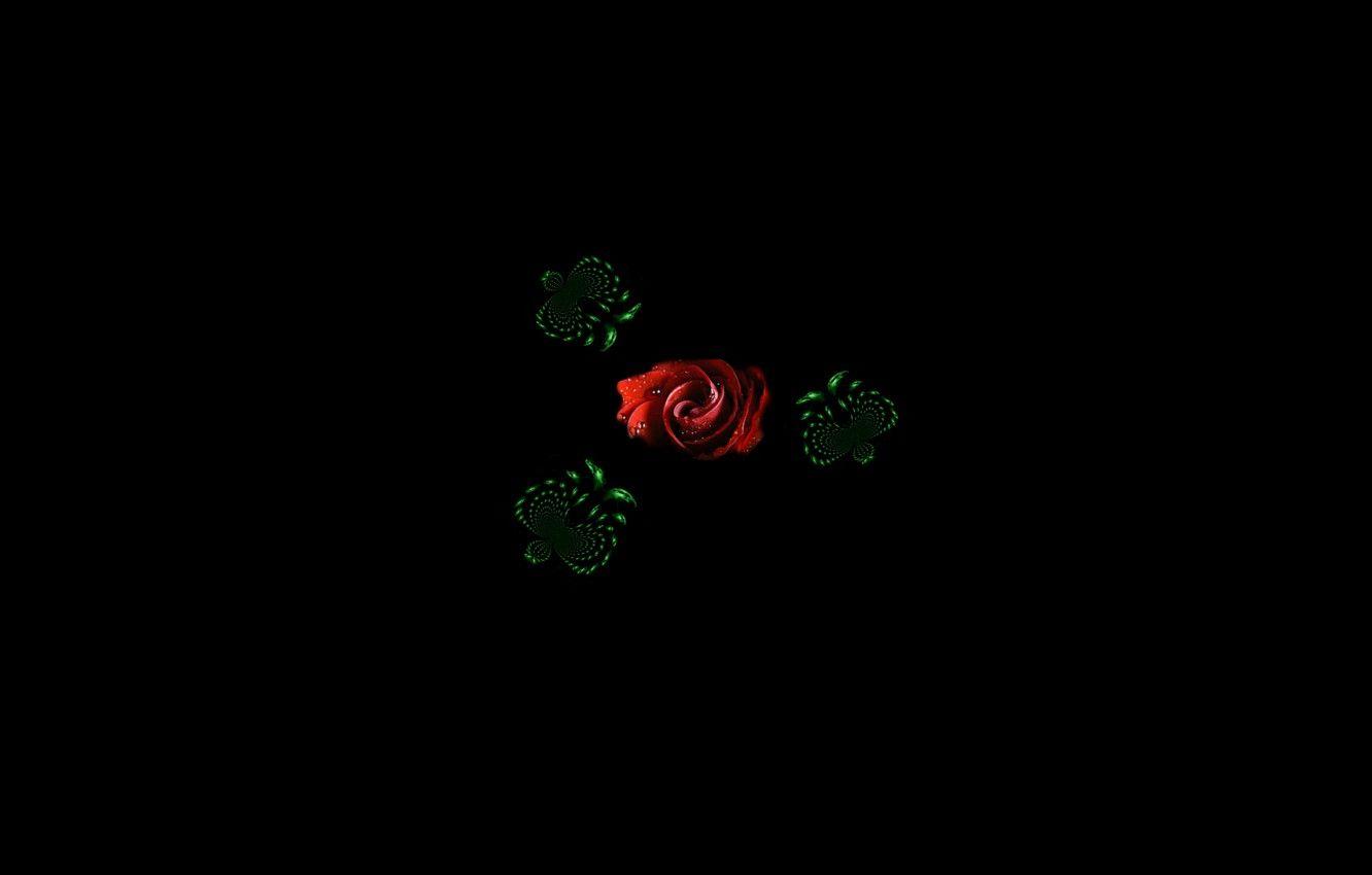 1332x850 Wallpaper red rose, black background, photo manipulation, graphics. collage, green butterfly image for desktop, section минимализм