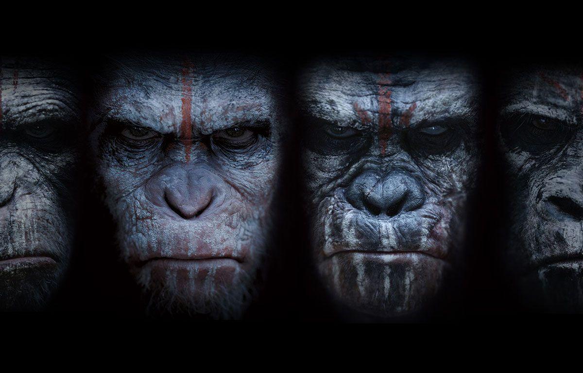 War Of The Planet Of The Apes Wallpapers - Top Free War Of The Planet ...