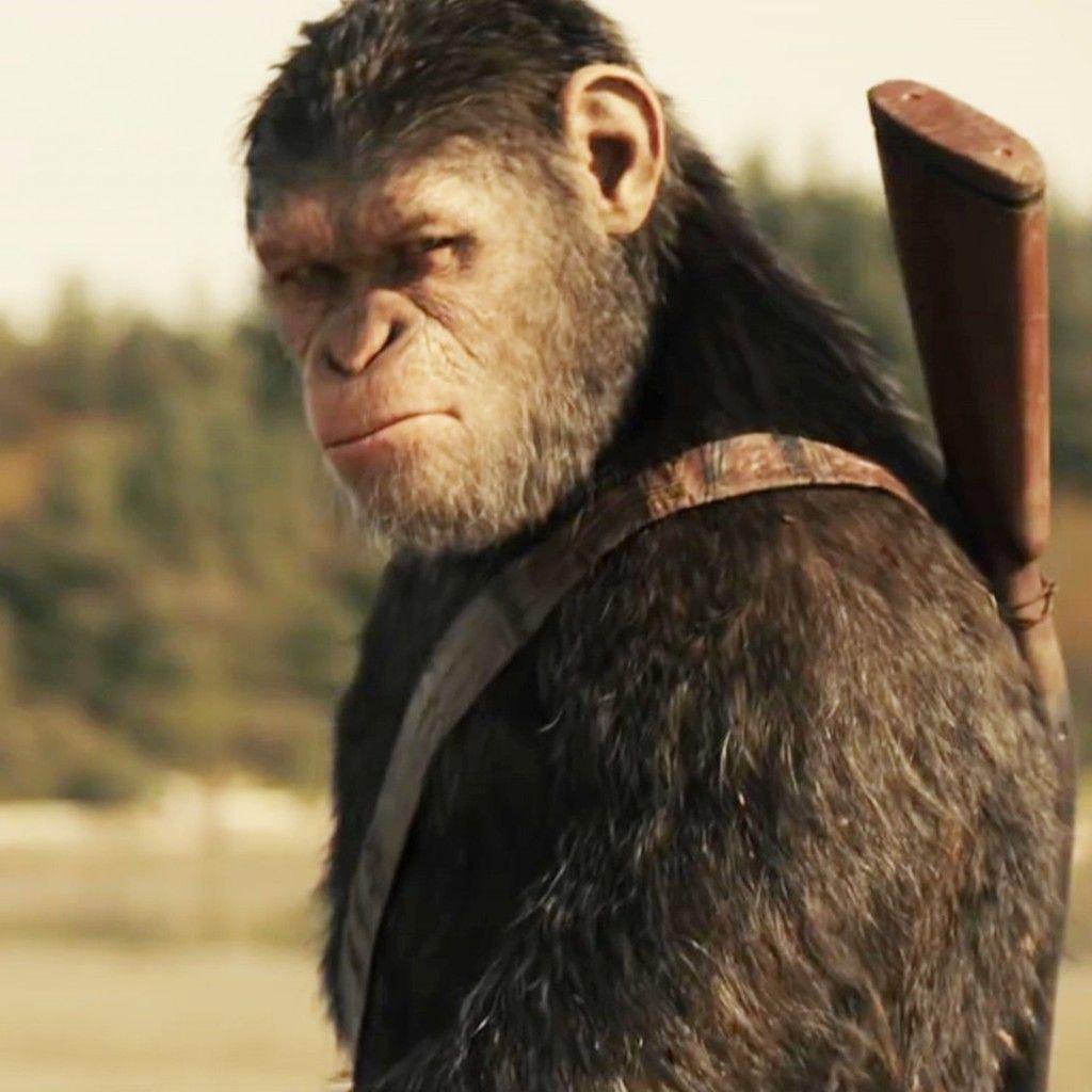 War Of The Planet Of The Apes Wallpapers - Top Free War Of The Planet - Free War Of The Planet Of The Apes