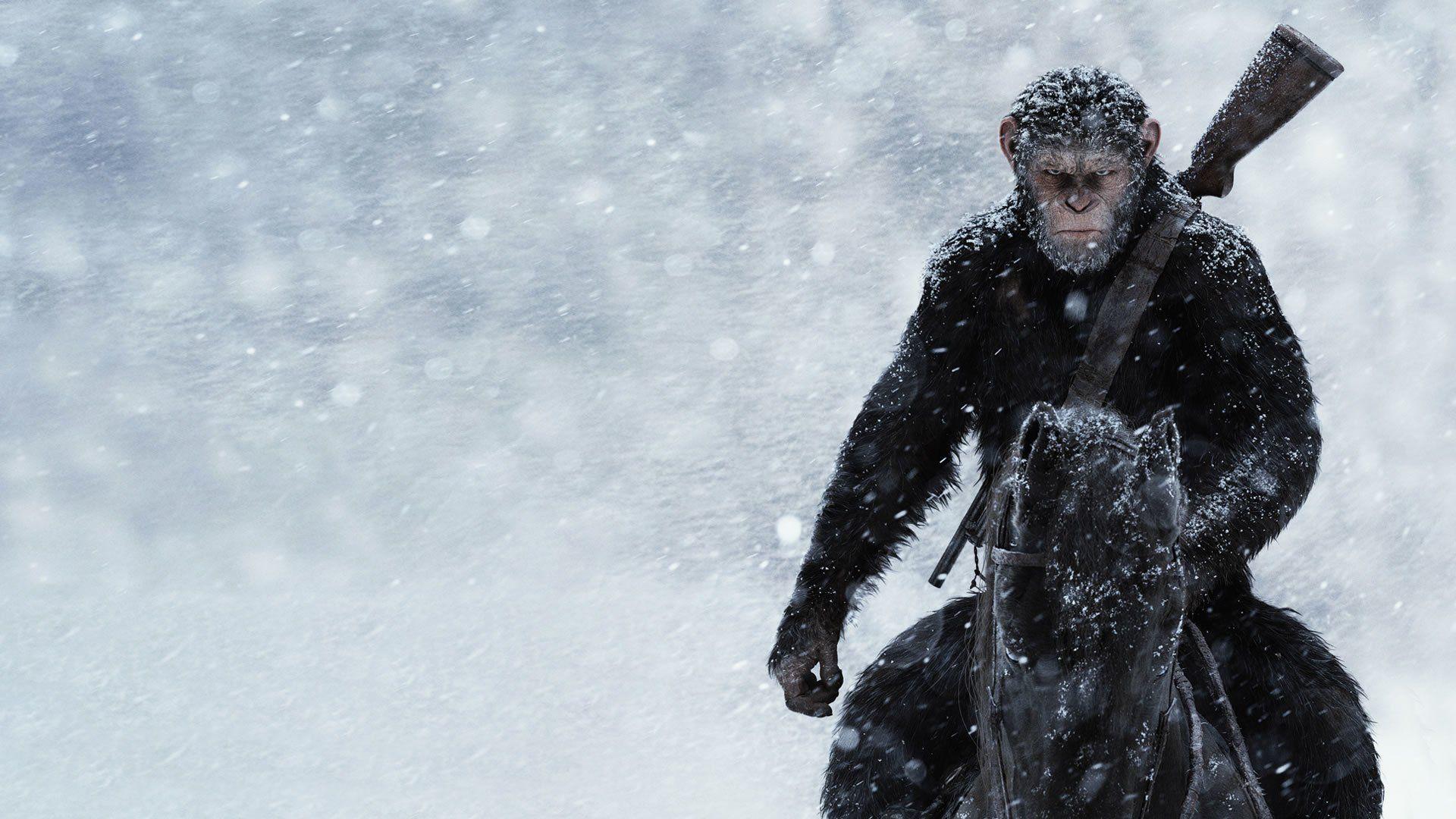 War Of The Planet Of The Apes Wallpapers - Top Free War Of The Planet ...