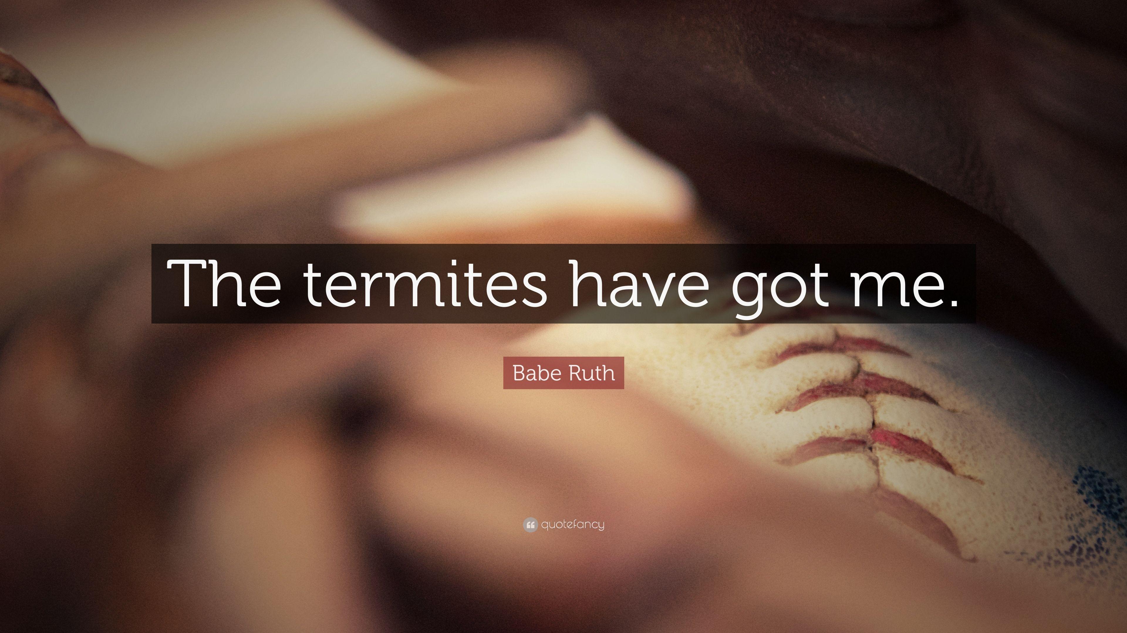 3840x2160 Babe Ruth Quote: “The termites have got me.” 10 wallpaper