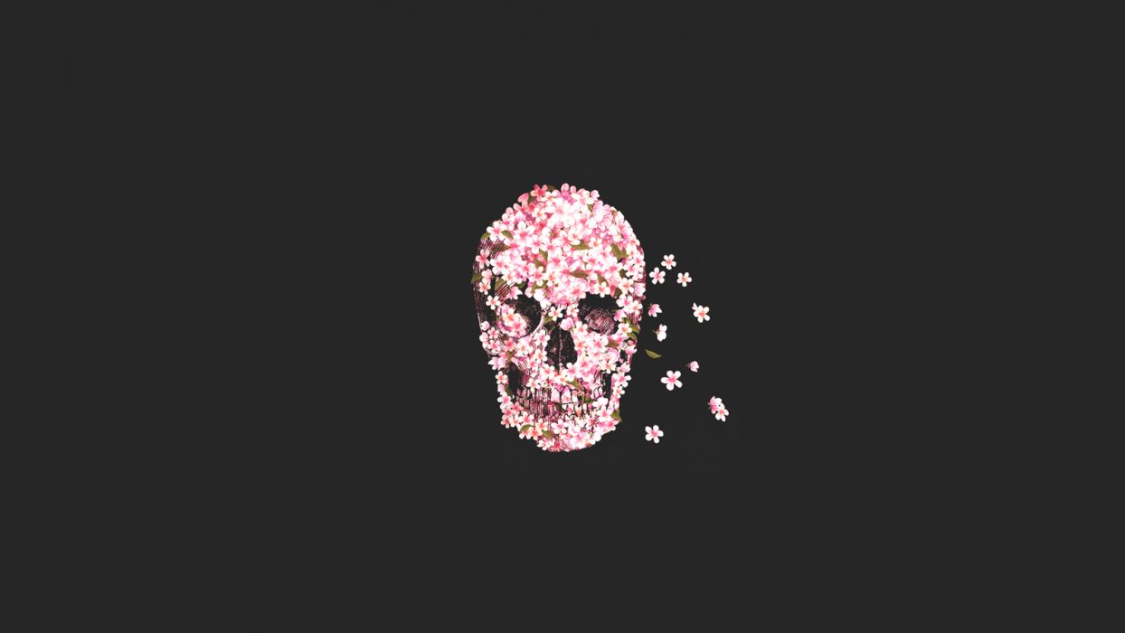1244x700 Skull Flowers Minimal skulls wallpaperx900