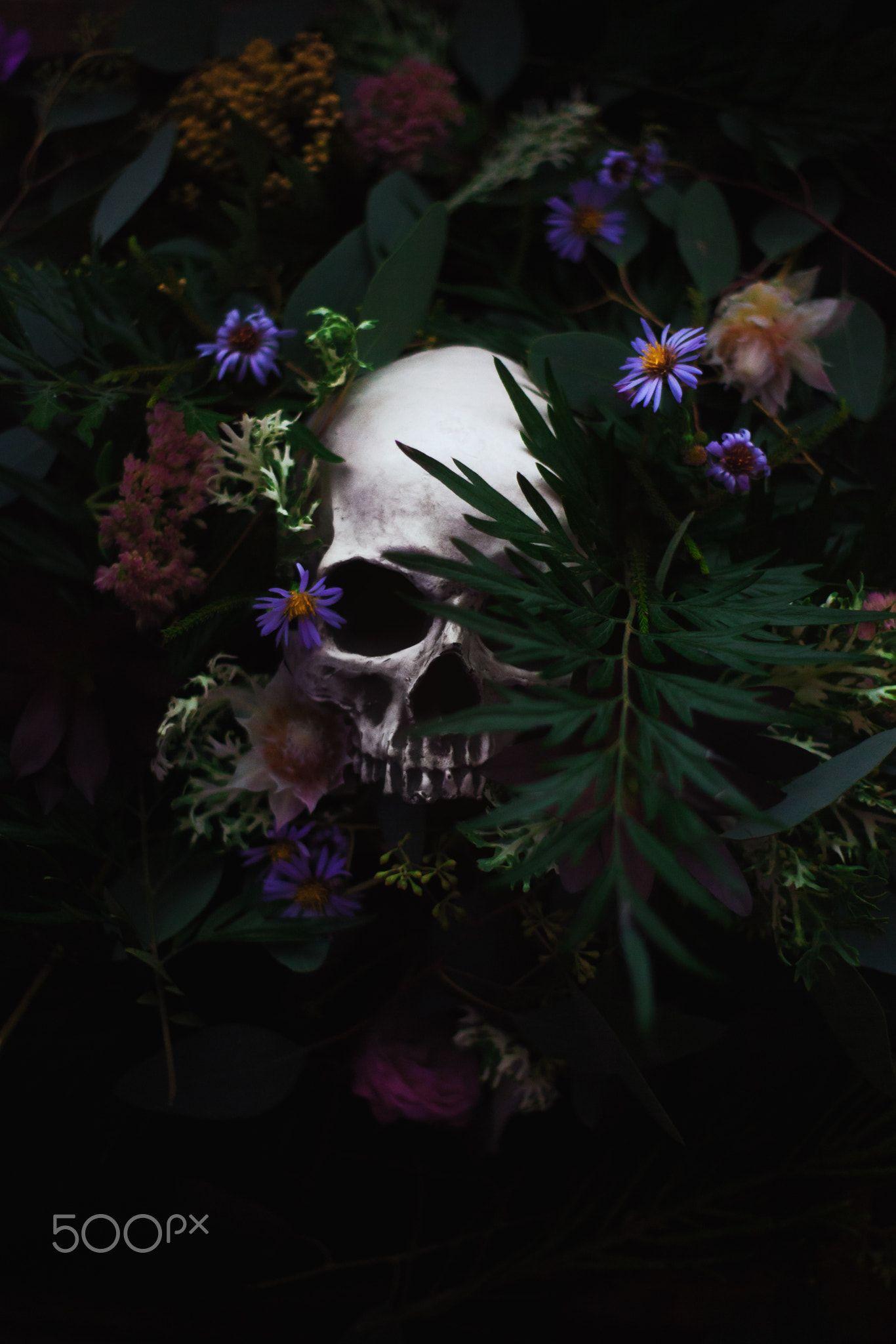 Skull flowers wallpaper by arsi26  Download on ZEDGE  1462