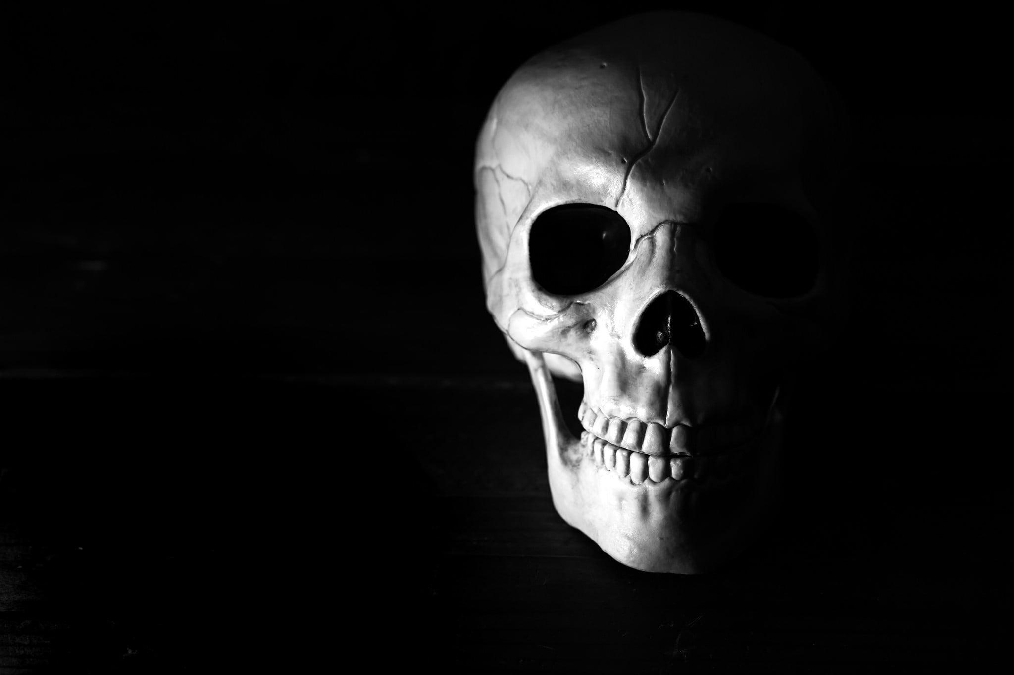 Black Skeleton Wallpapers  Top Free Black Skeleton Backgrounds   WallpaperAccess