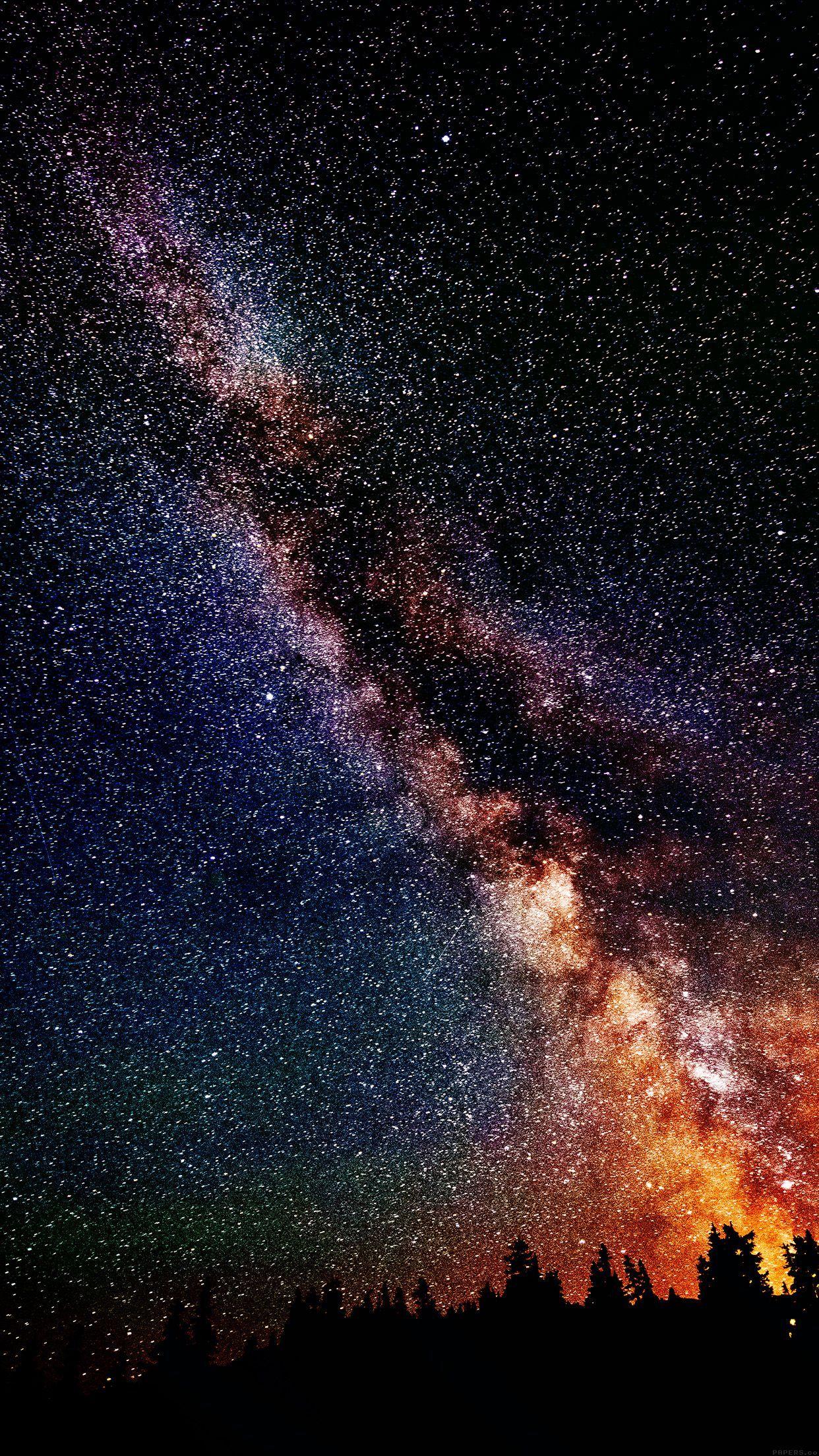 1242x2208 Tumblr
