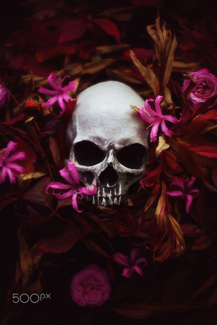 728x1092 HD wallpaper: Artem Phoenix, skull, flowers, plants, 500px