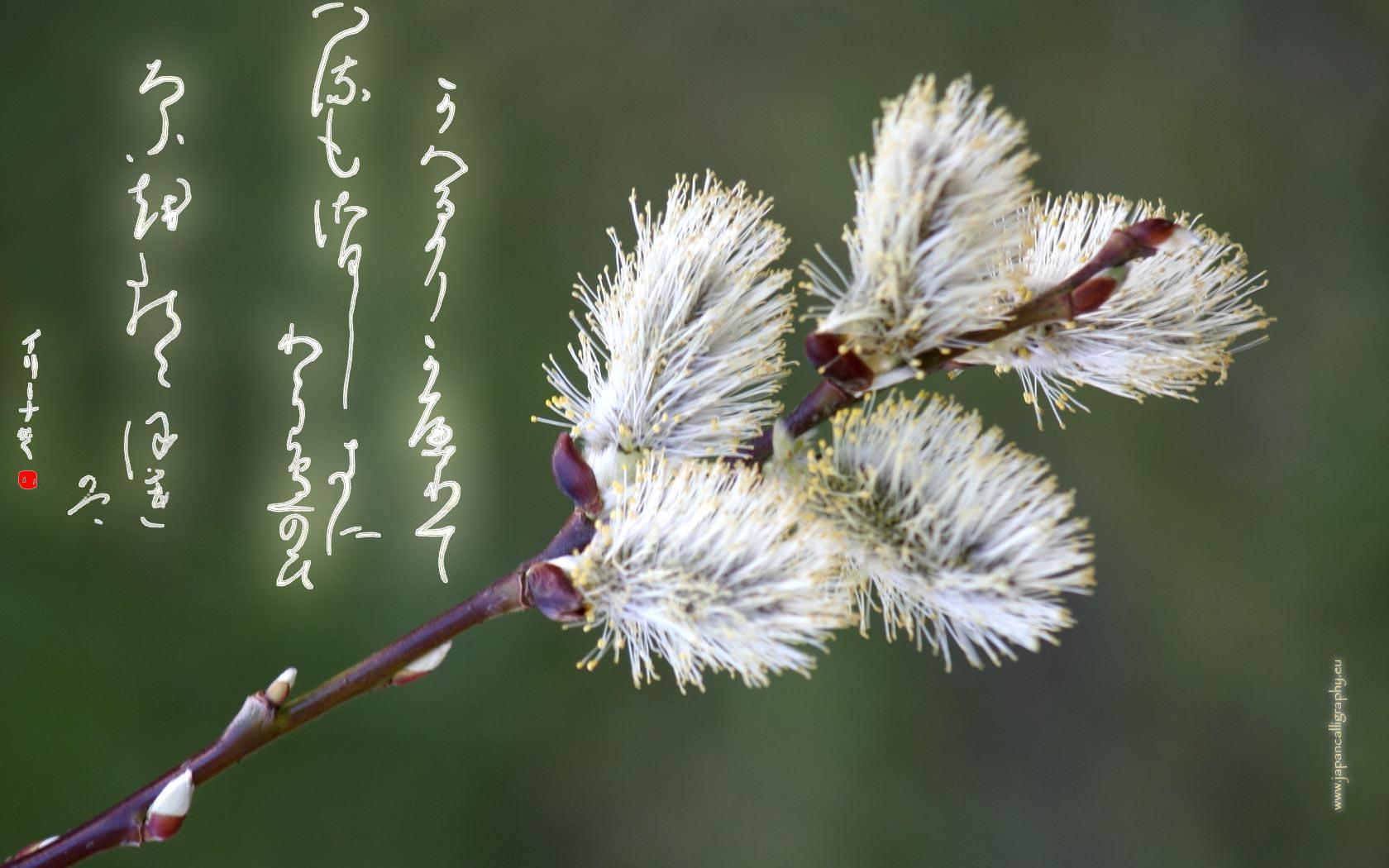 1680x1050 Japanese calligraphy desktop wallpaper Seasons