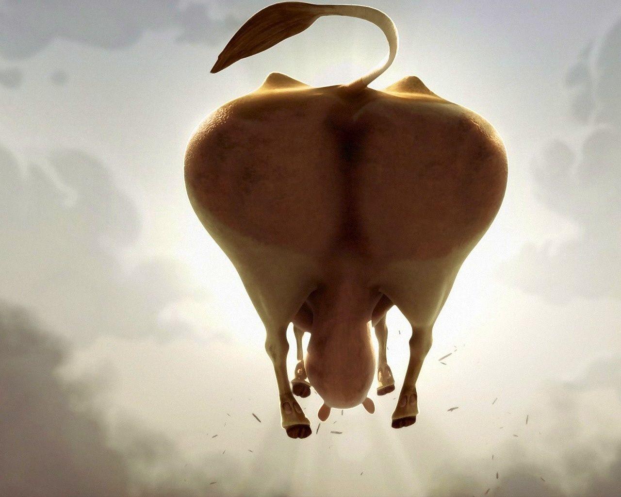 1280x1024 Big Funny Wallpaper. Image vache, Fond ecran drole, Vaches drôles