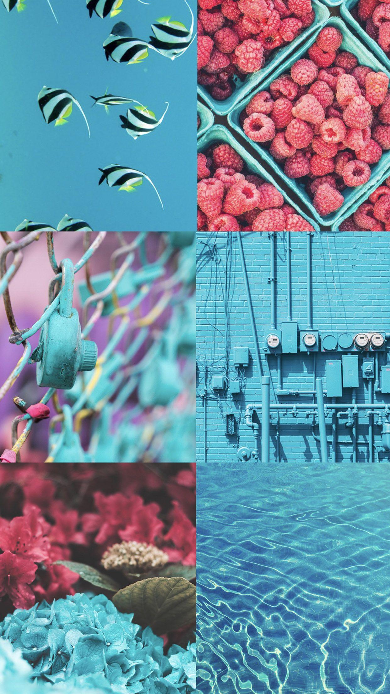 1242x2208 Photo Collage Phone Wallpaper, Download Wallpaper