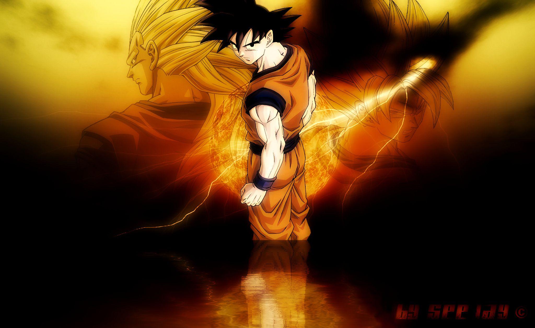 2048x1256 DBZ Warriors Dragon ball Z Wallpaper of Goku, Vegeta
