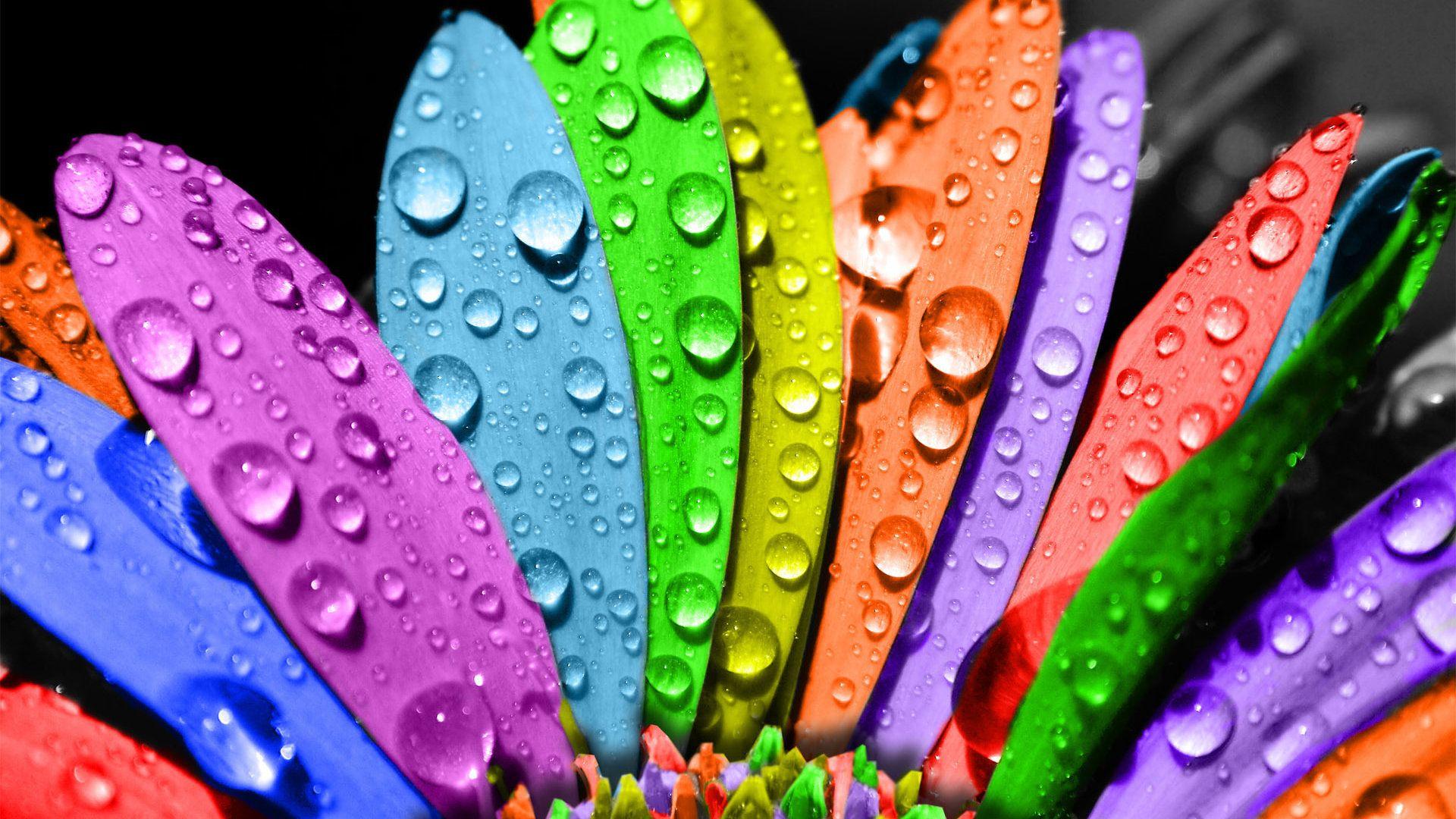 1920x1080 Gay Pride HD Desktop Wallpaper