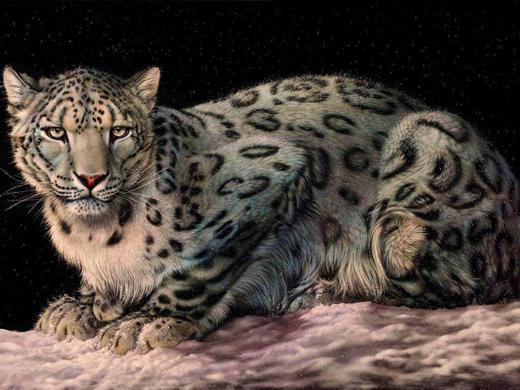 1024x768 leopard 4K wallpaper for your desktop or mobile screen free