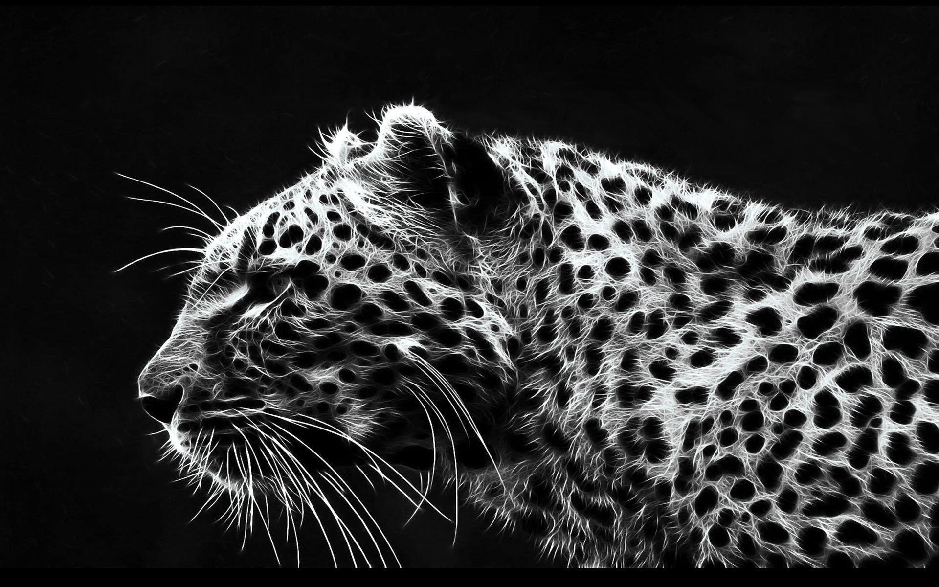 1920x1200 Leopard black and white