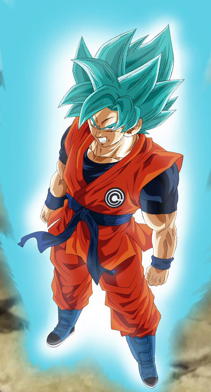 690x1280 Dragon ball hero wallpaper
