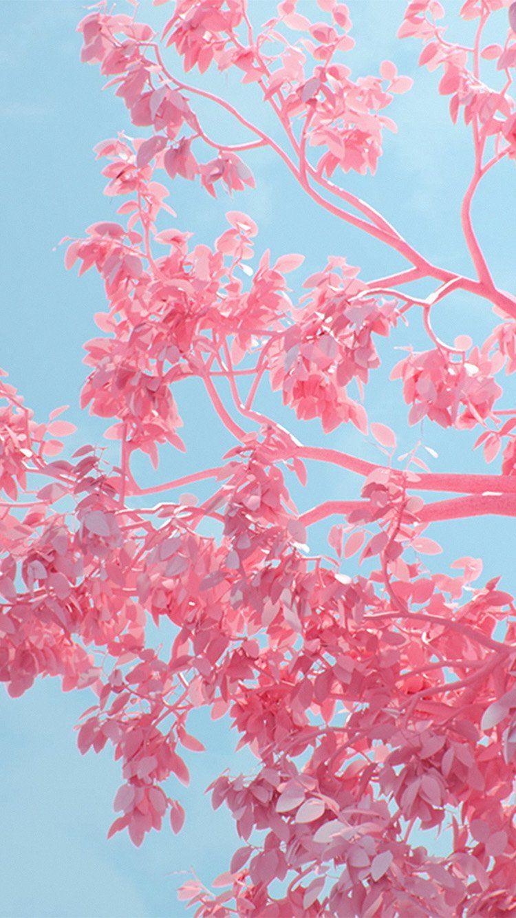 750x1334 Tree Pink Spring Digital Art Illustration