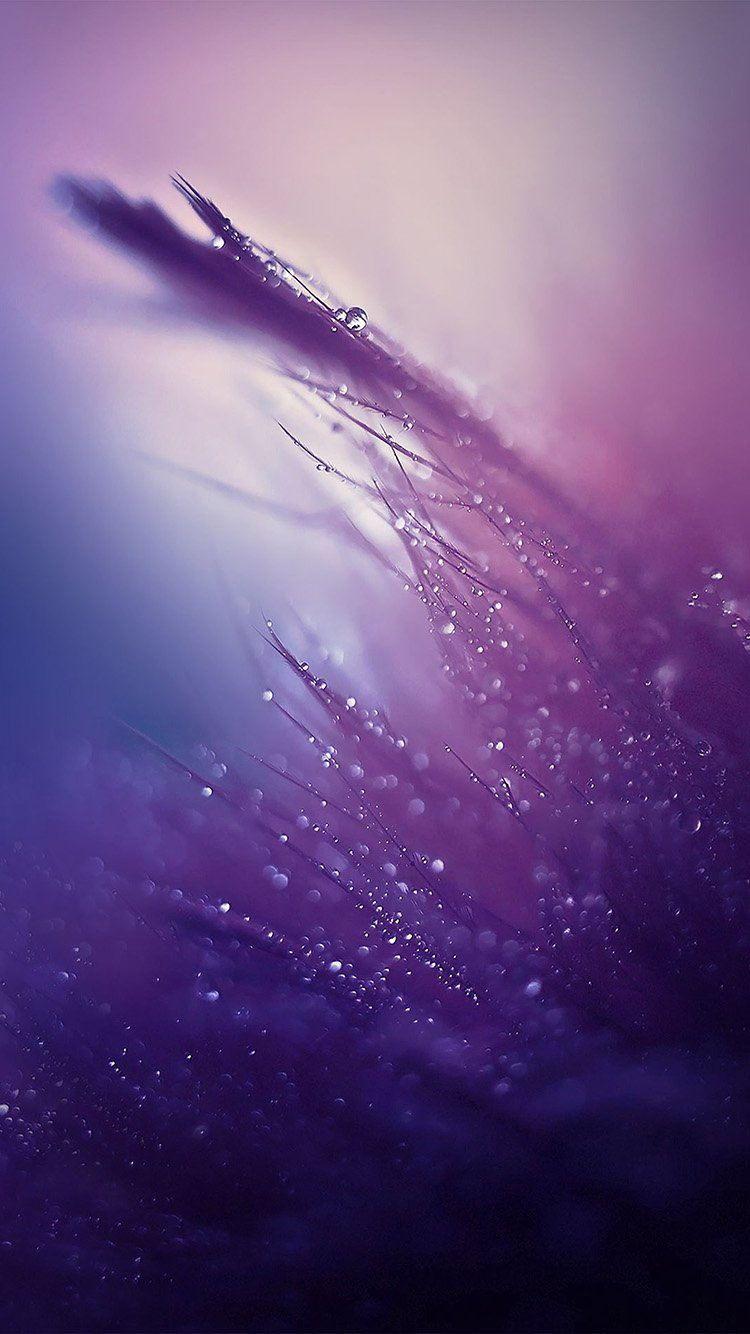 Purple iPhone 5S Wallpapers - Top Free Purple iPhone 5S Backgrounds ...