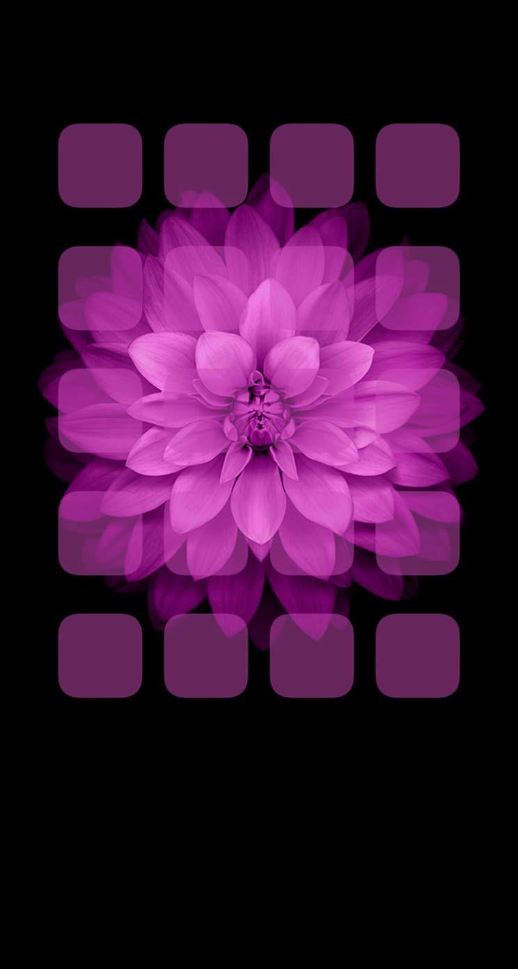 744x1392 Shelf purple black flowers. wallpaper.sc iPhone5s, SE