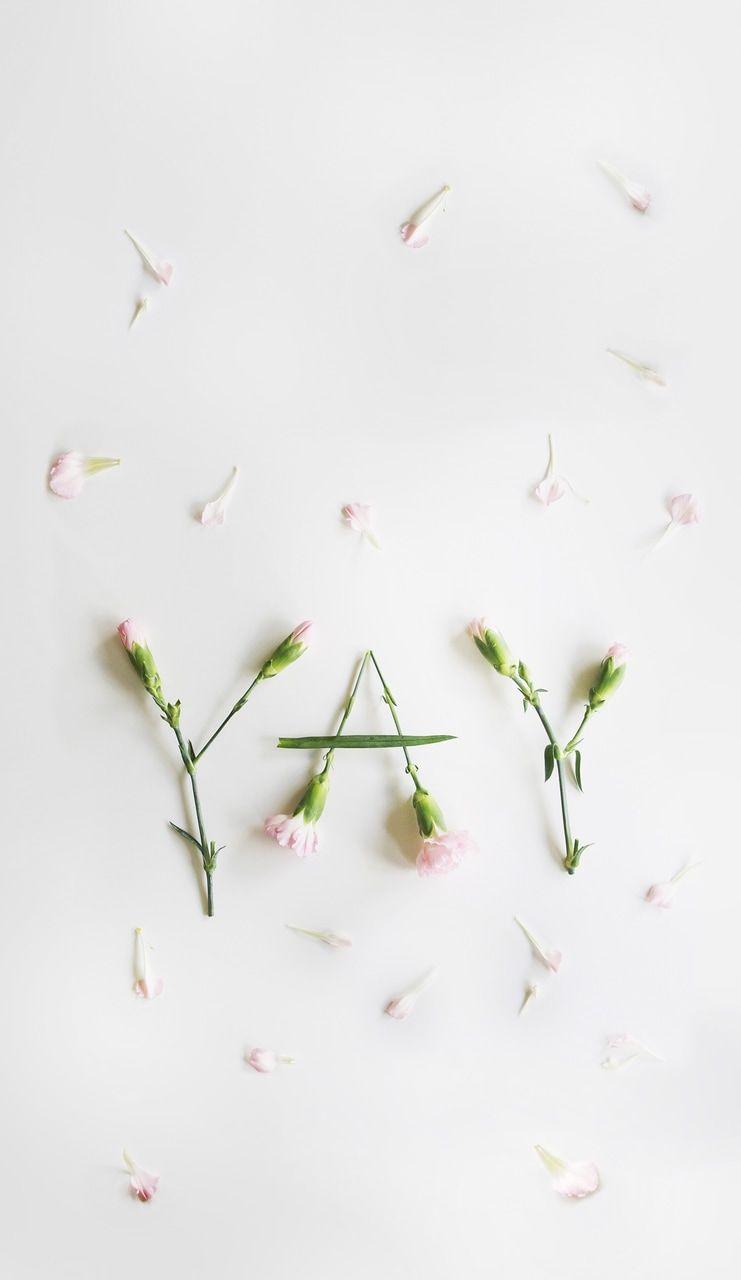 741x1280 plain wallpaper, aesthetic wallpaper, cute wallpaper and iphone