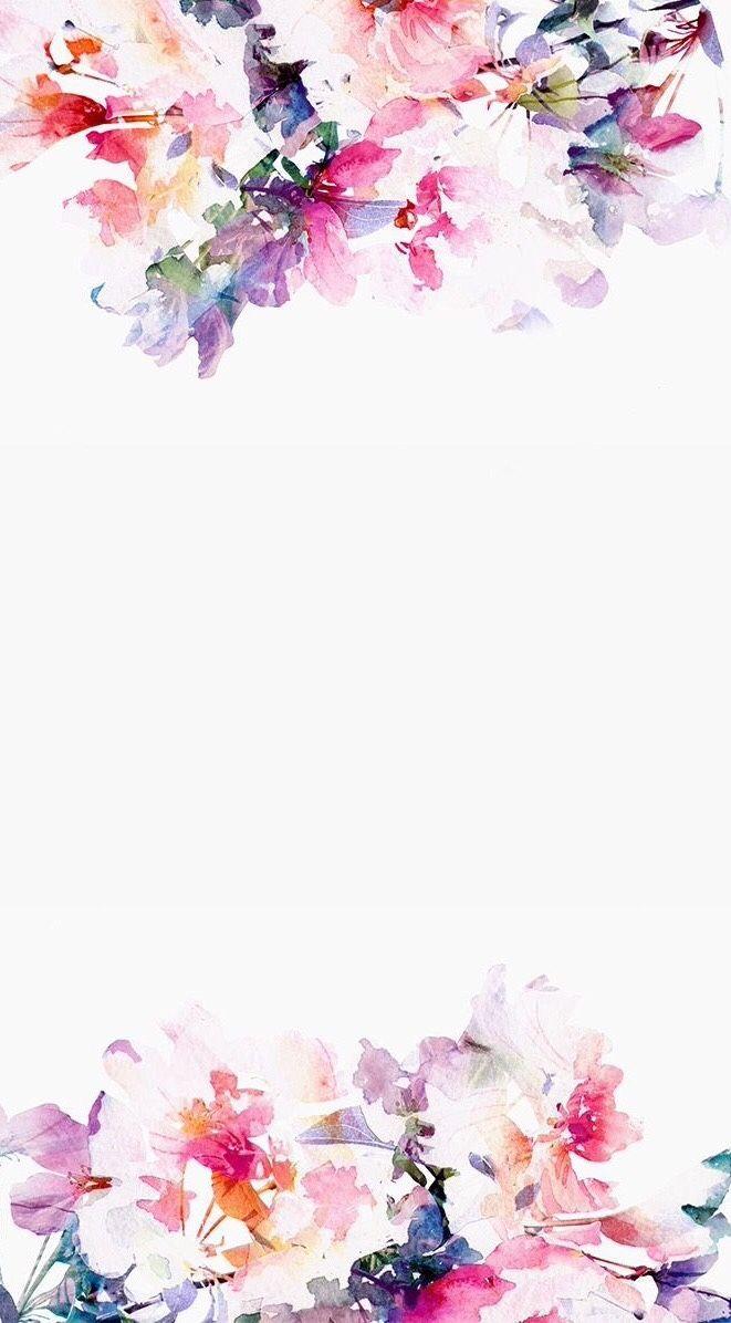 661x1196 Plant, Blossom, Flower, Petal, Lilac resized