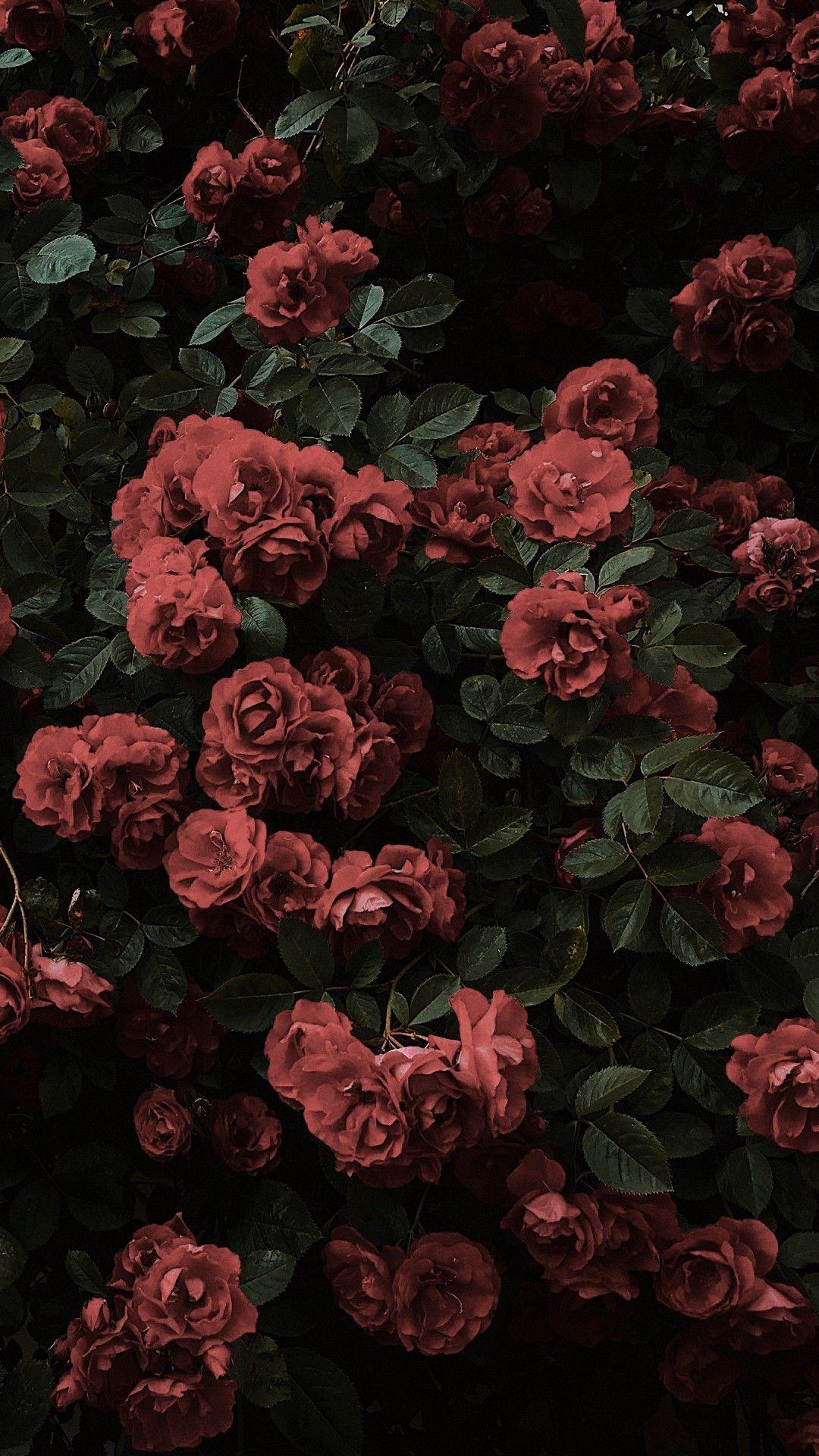 1080x1920 IPhone Wallpaper Tumblr Quotes Black 15