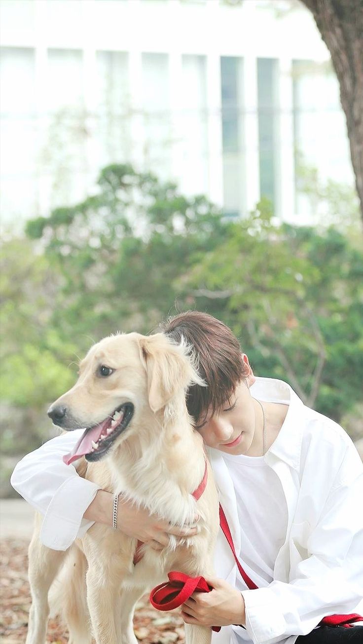 736x1305 The Boyz Wallpaper #kpop
