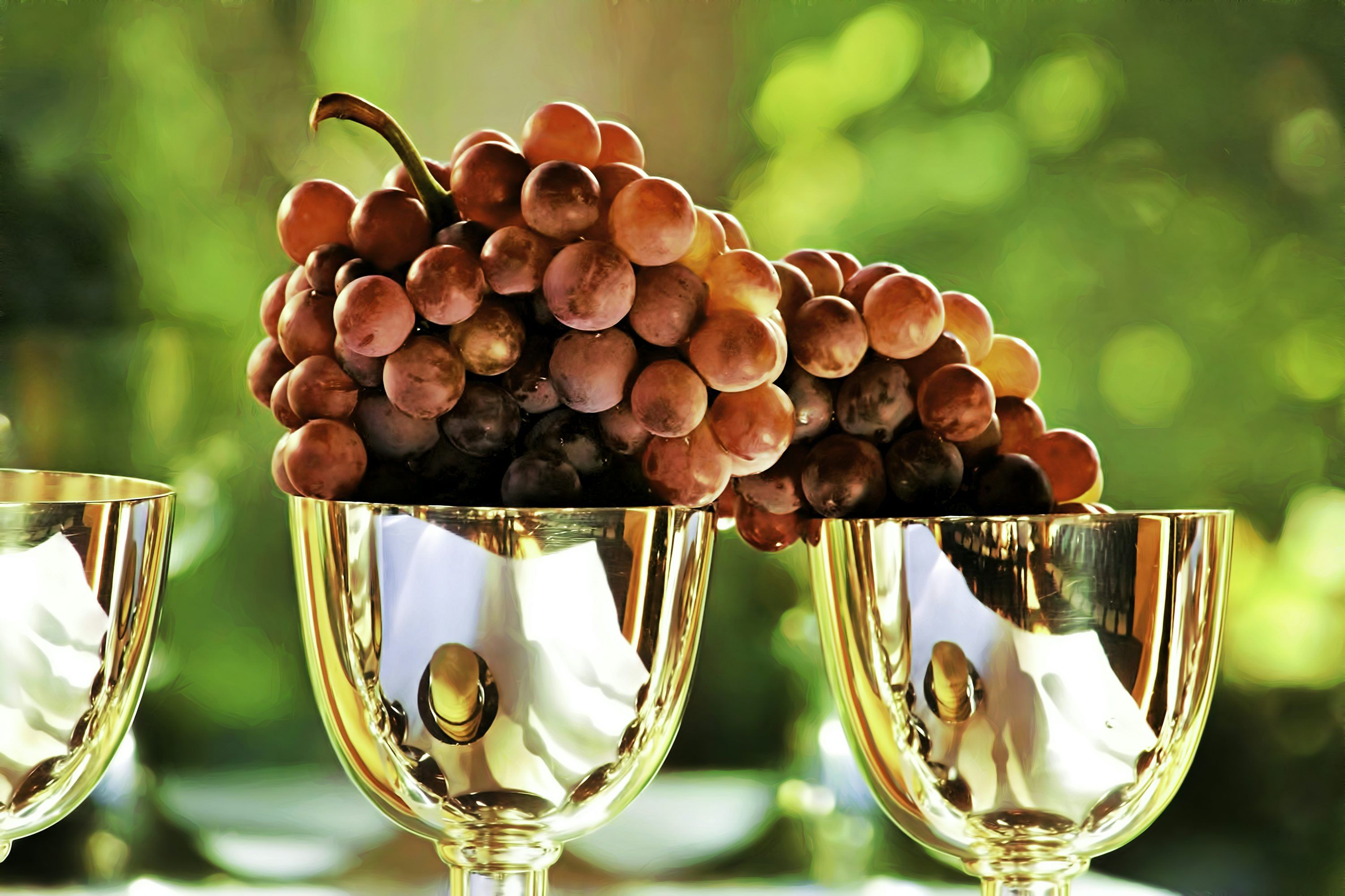 3000x1999 Red grapes and chalice wallpaper photo