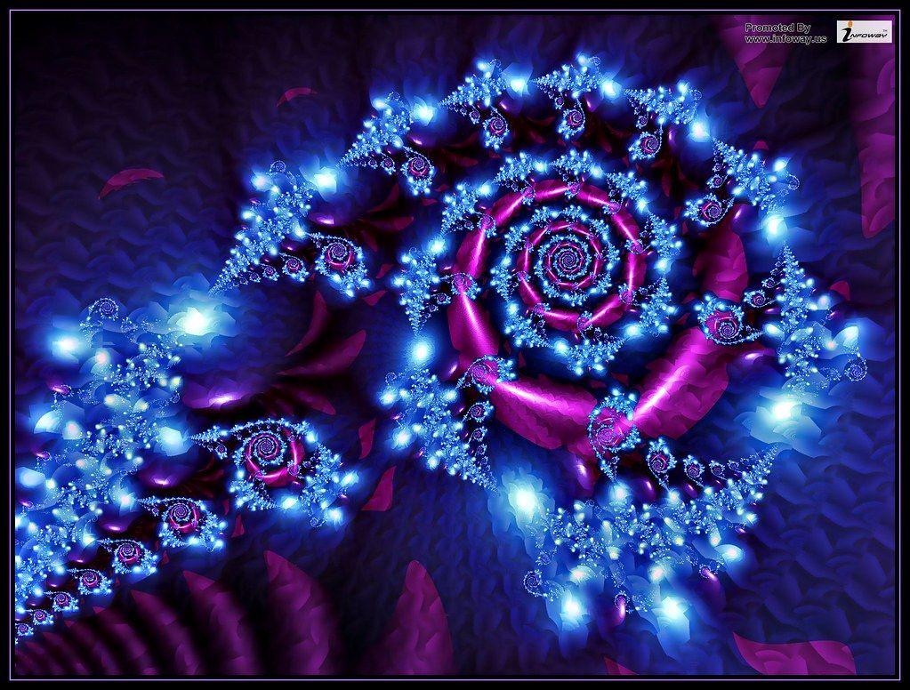1023x776 Purple roses wallpaper. Purple roses wallpaper