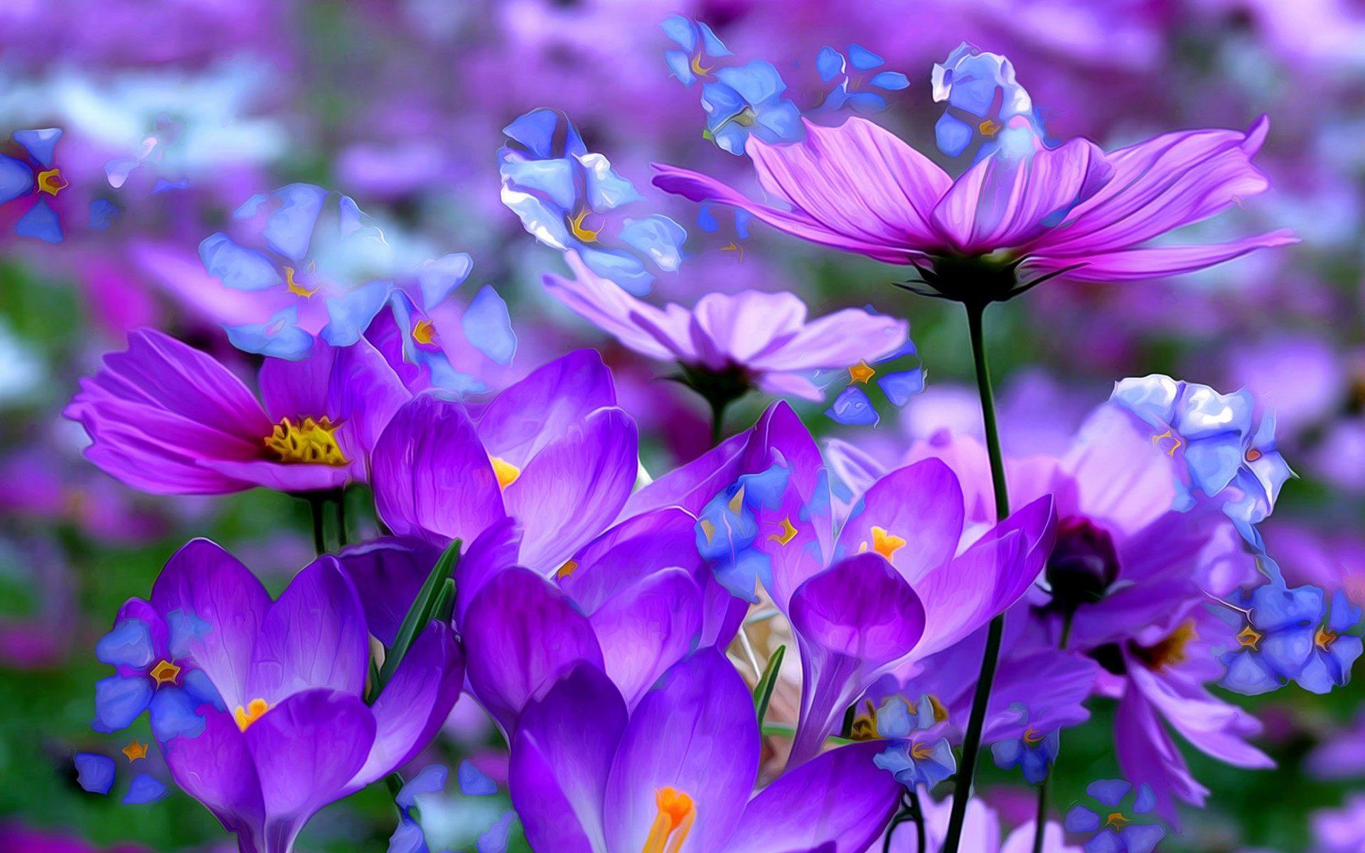 1920x1200 Flower Flowers Wallpaper Hd, HD Wallpaper & background