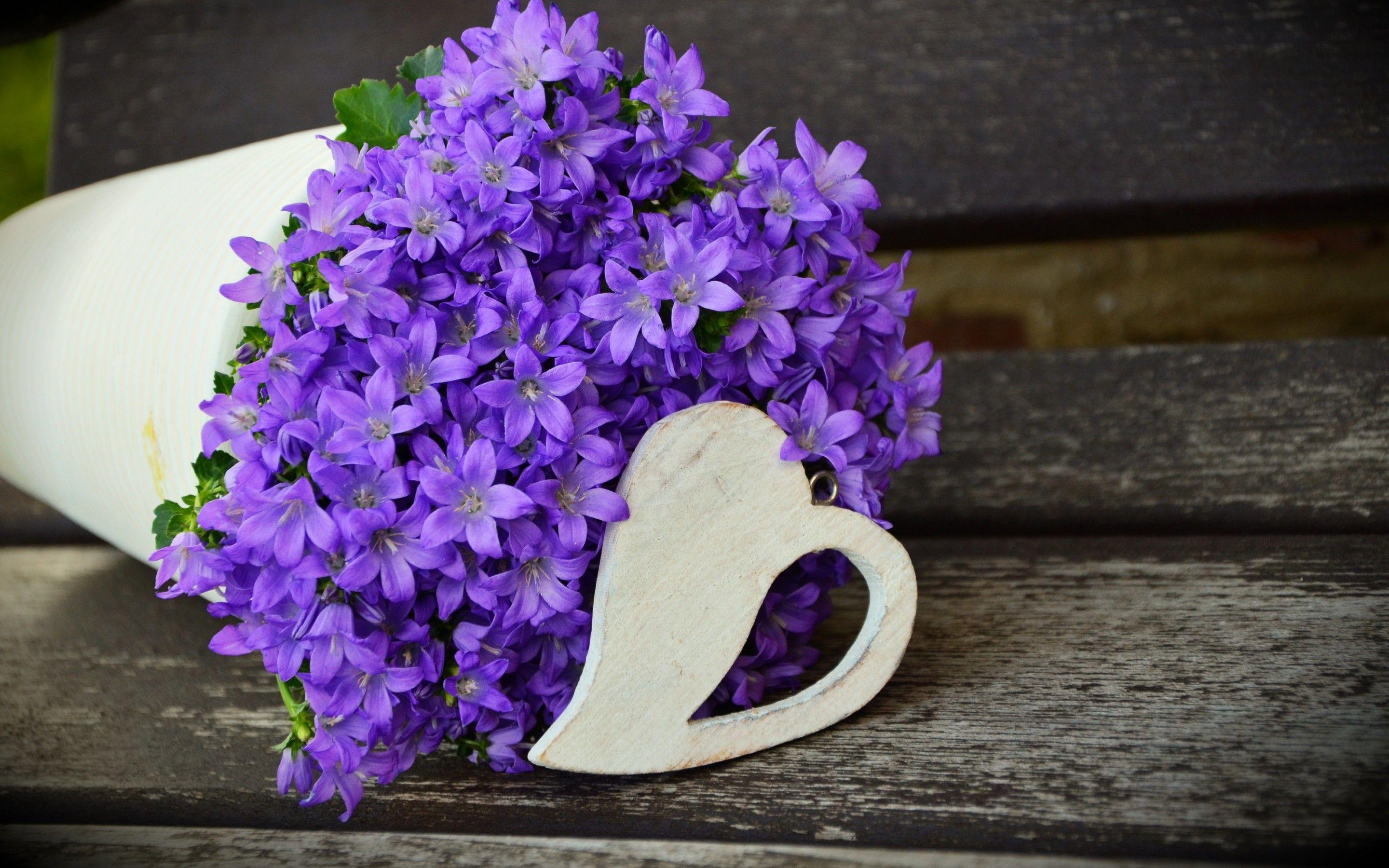2880x1800 Purple flowers wallpaper. nature and landscape