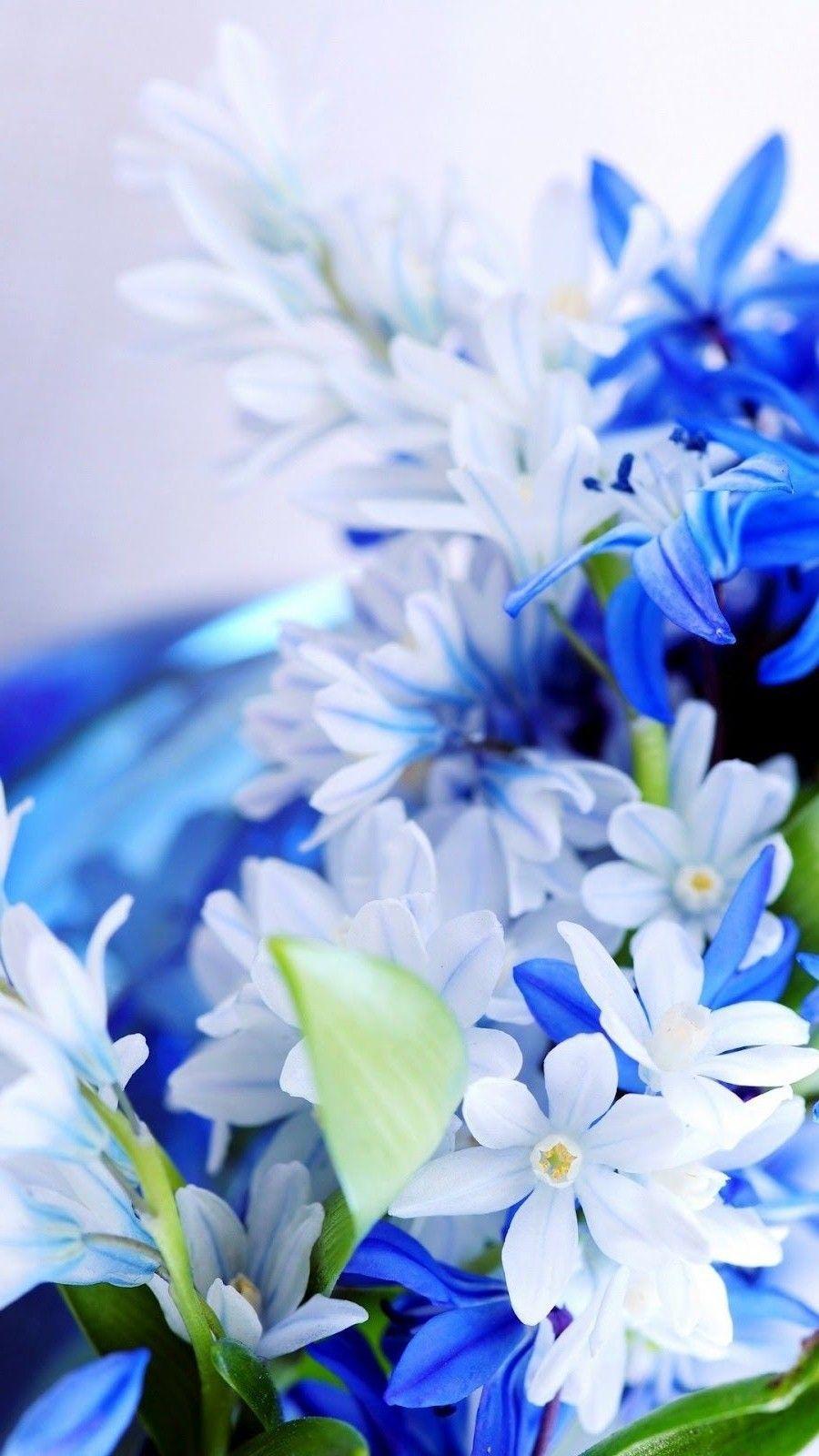 Blue flowers Wallpaper 4K Hyacinth White 2060