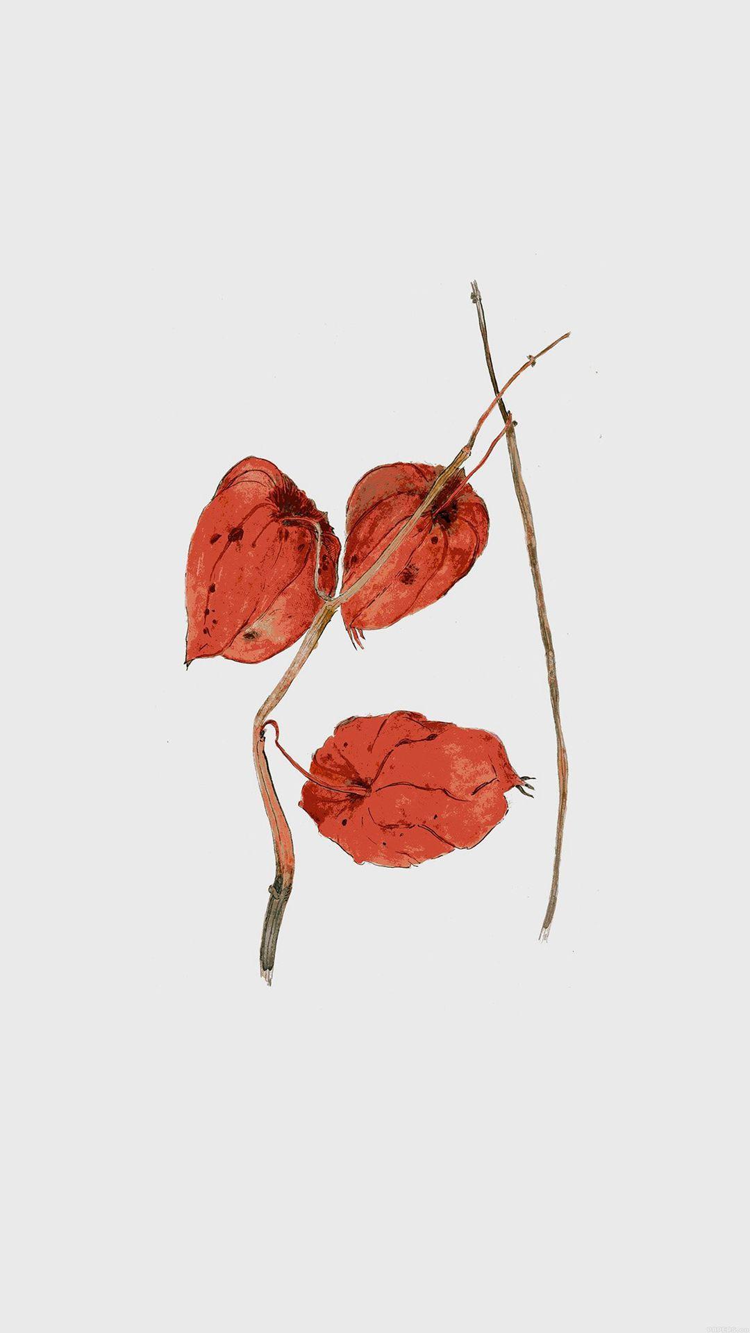 1080x1920 Best draw iPhone 8 Wallpaper HD