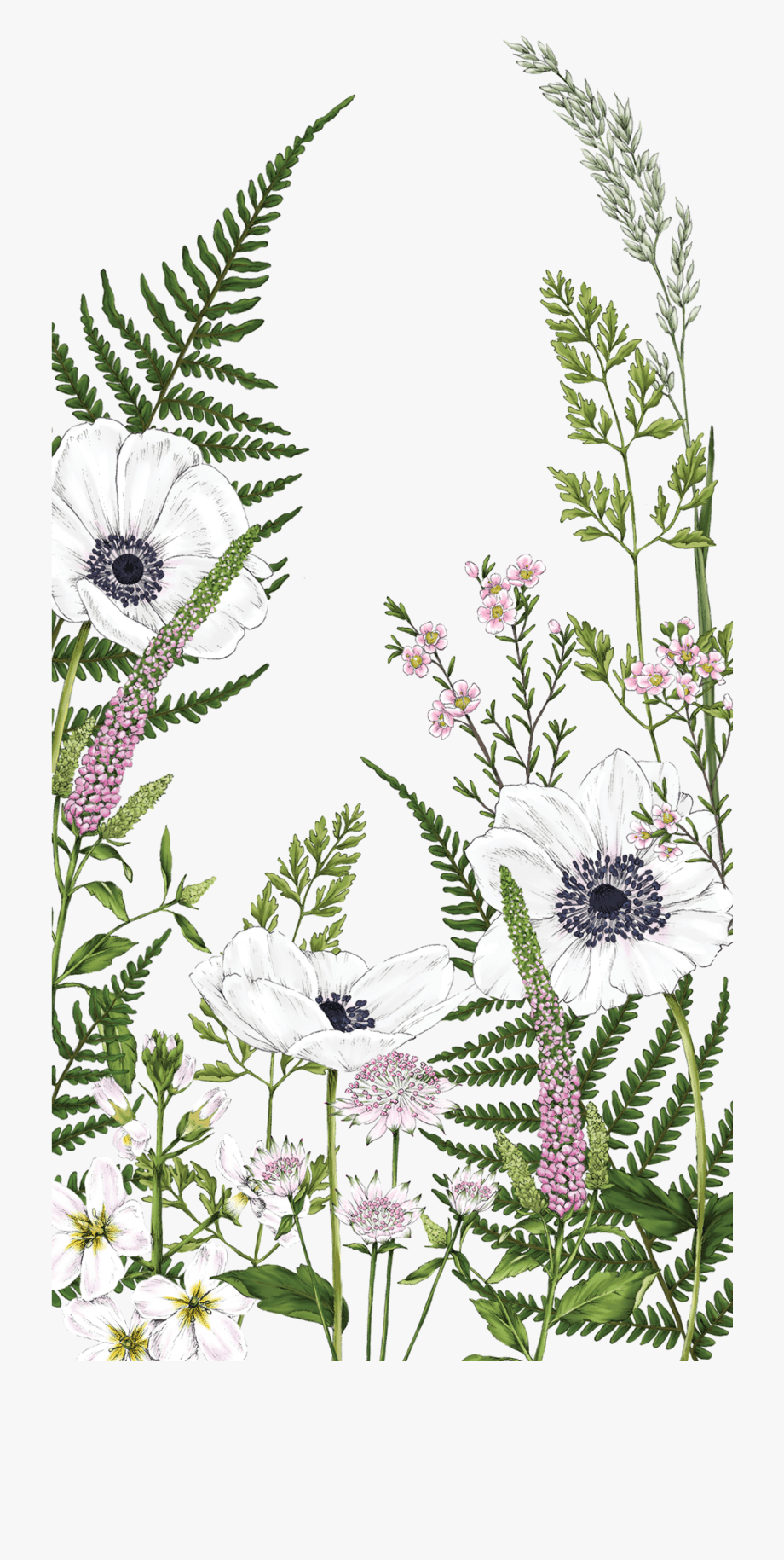 920x1829 casetify #art #design #flowers #fern Wallpaper