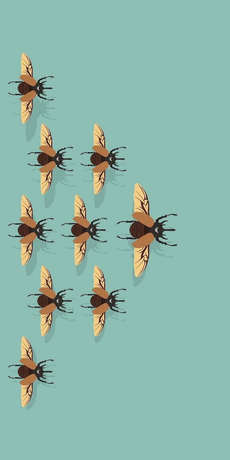 740x1480 Gnats Vectors Free High Quality Vectors From Freepik