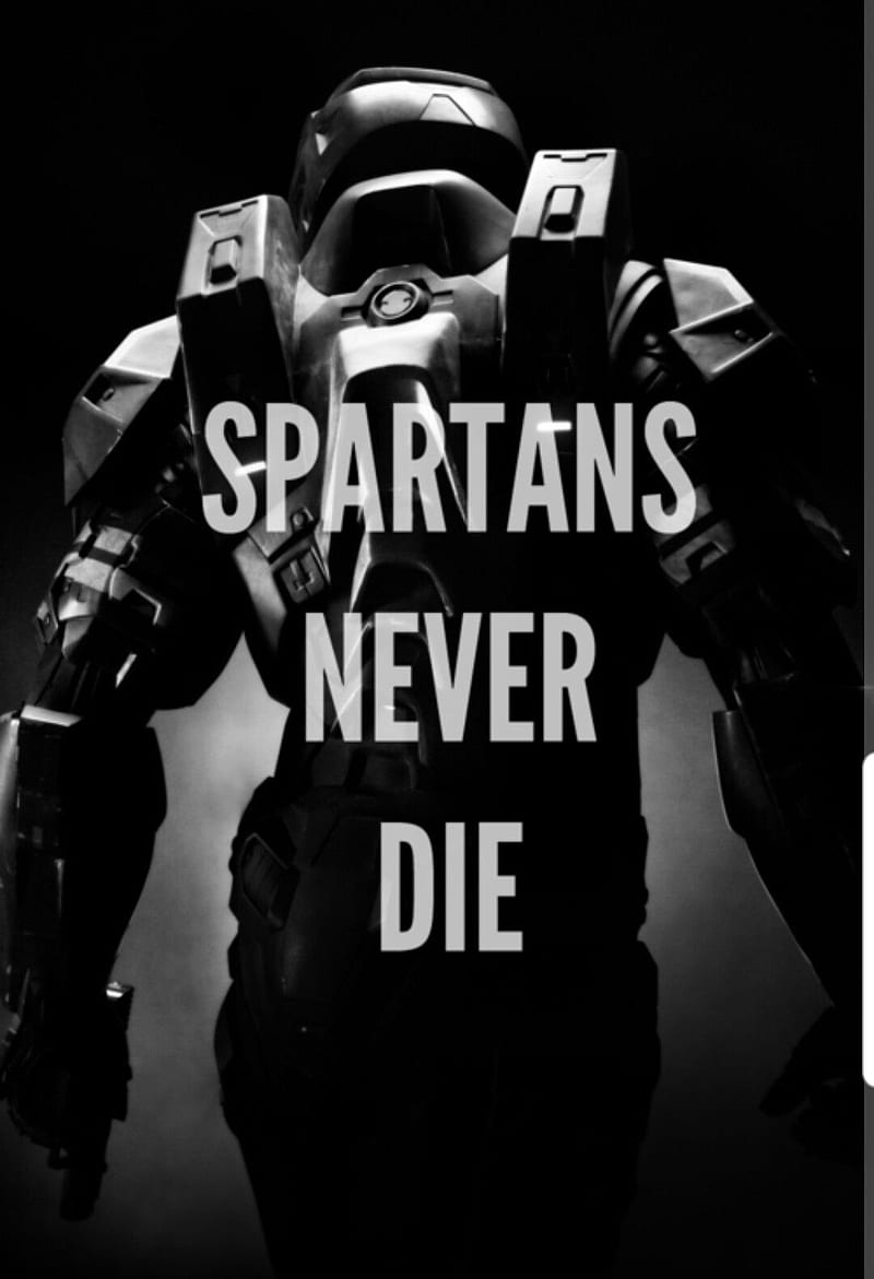 800x1171 Spartanneverdie, neverdie, spartan, HD phone wallpaper