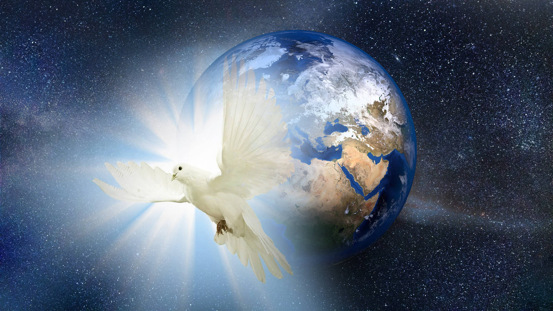 1920x1080 Download Bright Dove For World Peace Wallpaper