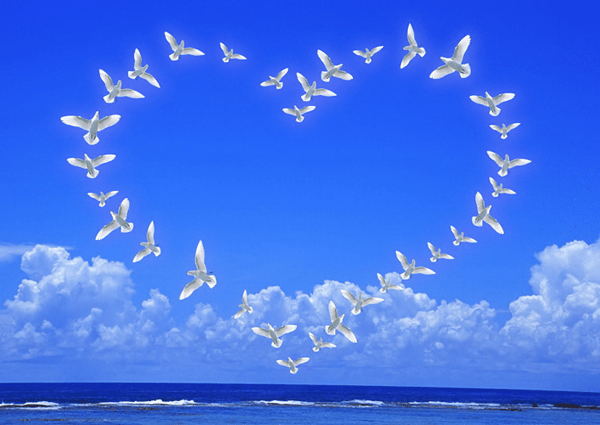 1920x1363 Peaceful Doves in HD Serene Wallpaper Experience