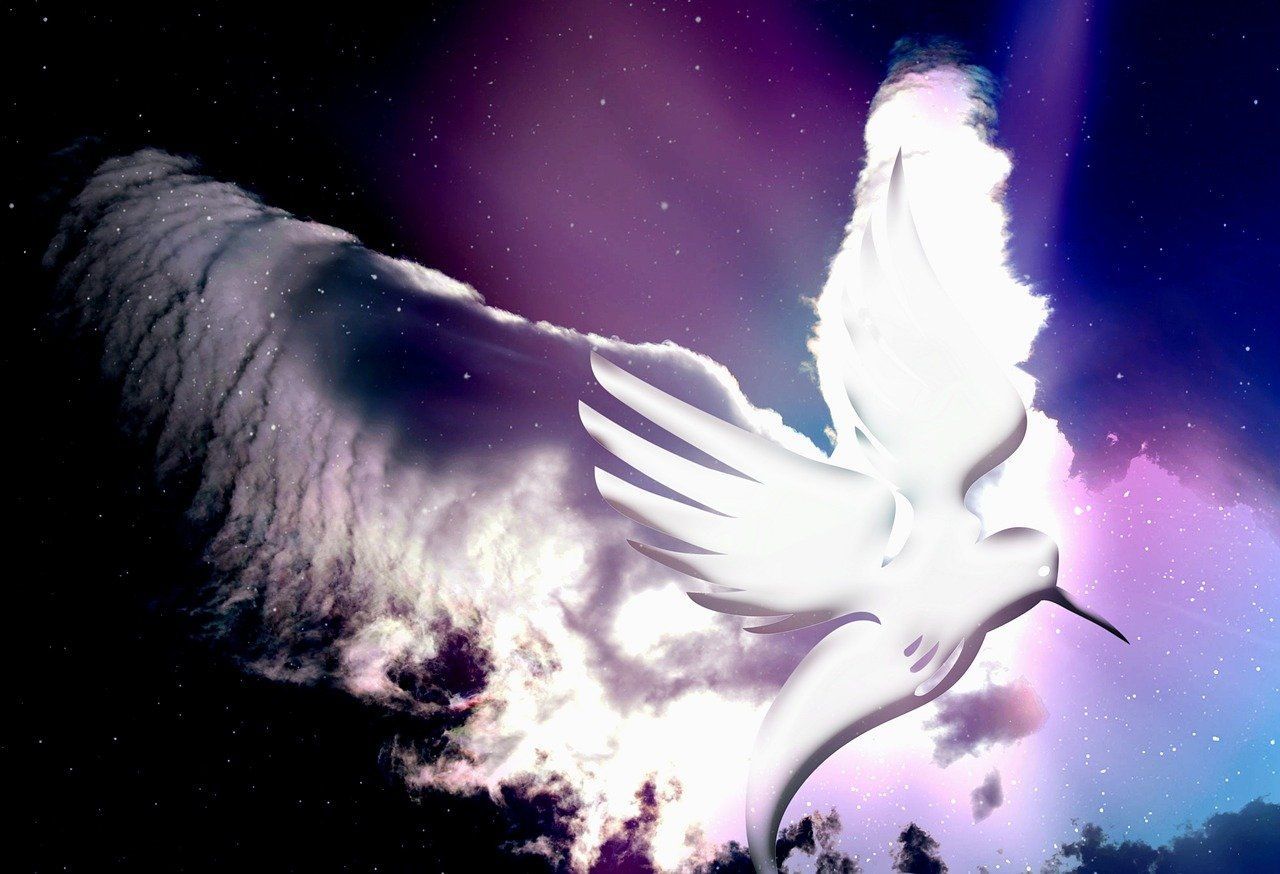 1280x874 Download Dove Bird Wing. Royalty Free Stock Illustration Image