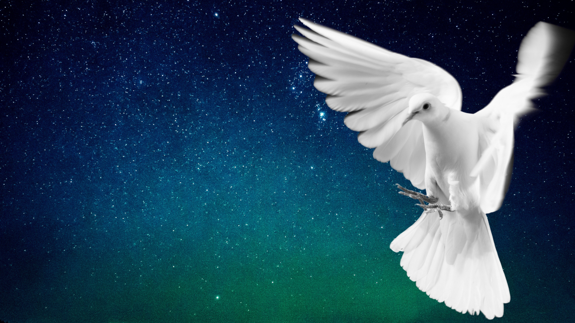 1920x1080 Peace Doves and Collateral Damage