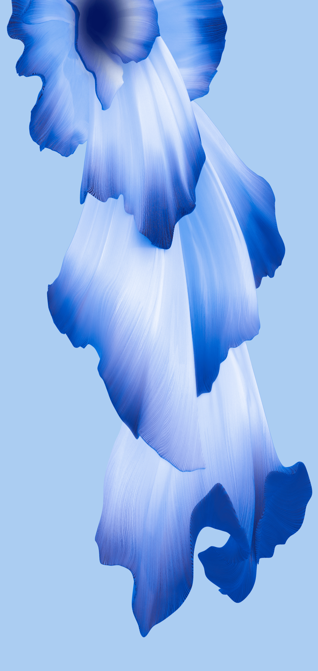 1080x2280 Download Honor 20 Pro Official Wallpaper Here! Full HD Resolution