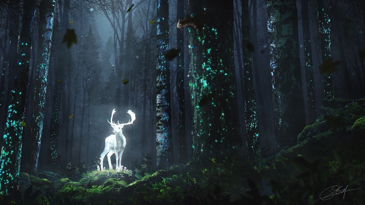 1280x720 The Forbidden Forest Harry Potter Wallpaper