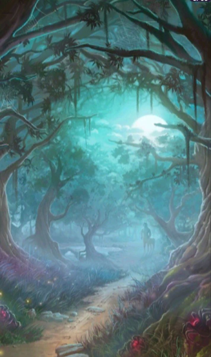 712x1200 Harry Potter Forbidden Forest