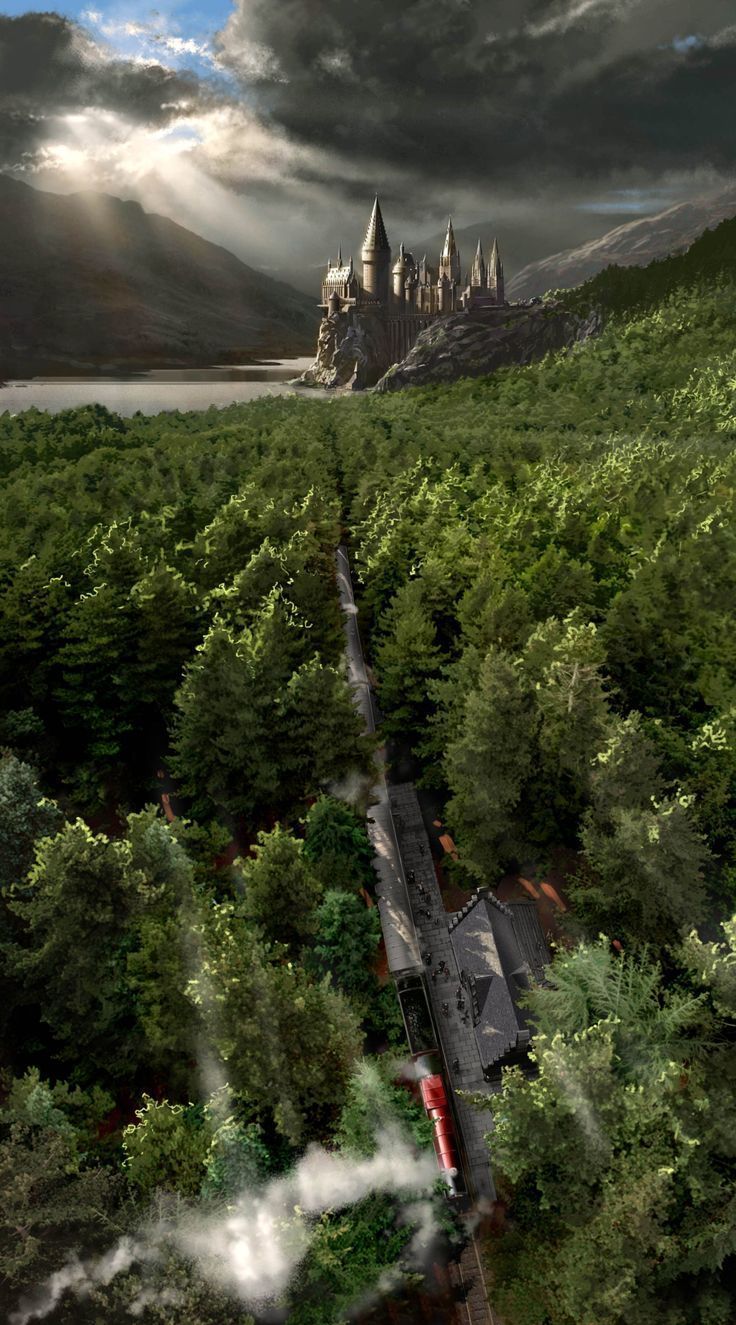 736x1325 An illustration of Hogwarts and Hogsmeade with the Forbidden Forest (iPhone wallpaper). Harry potter background